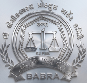 silver logo with bg